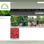 Floramiata Catalogo